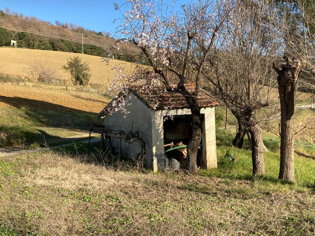 immagine annuncio 11 di 13