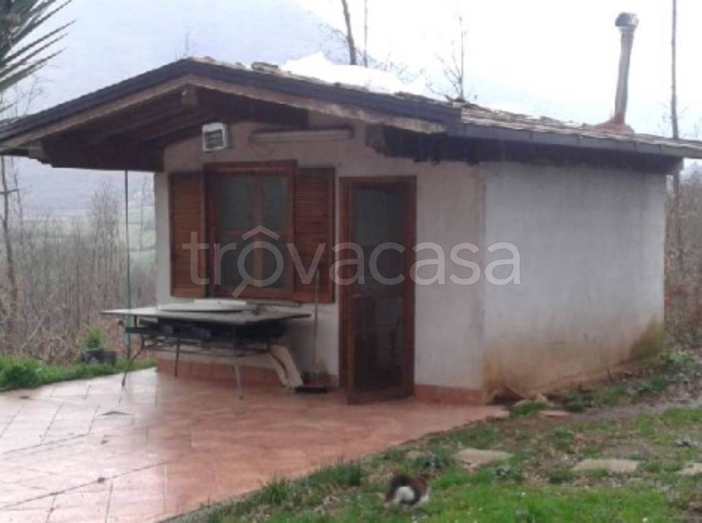 immagine annuncio 3 di 8