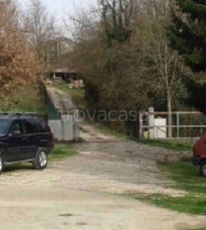 immagine annuncio 4 di 8