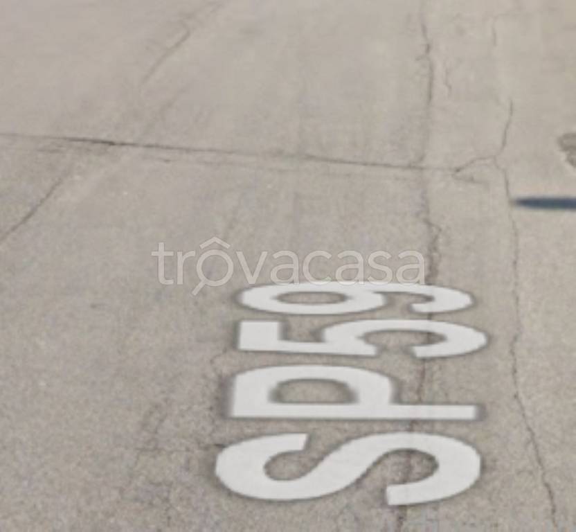 immagine annuncio 6 di 11