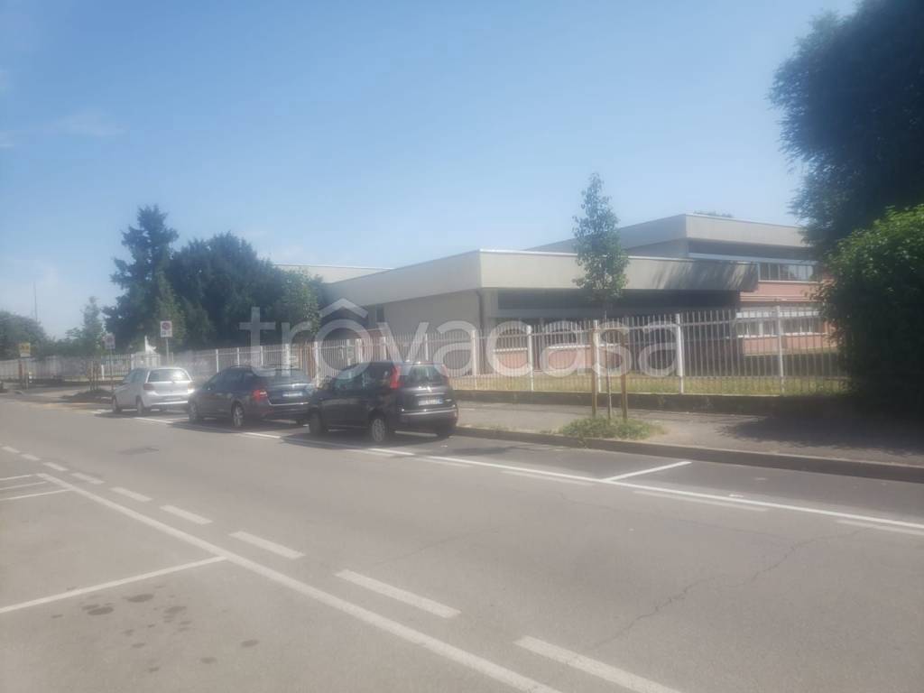 immagine annuncio 5 di 15