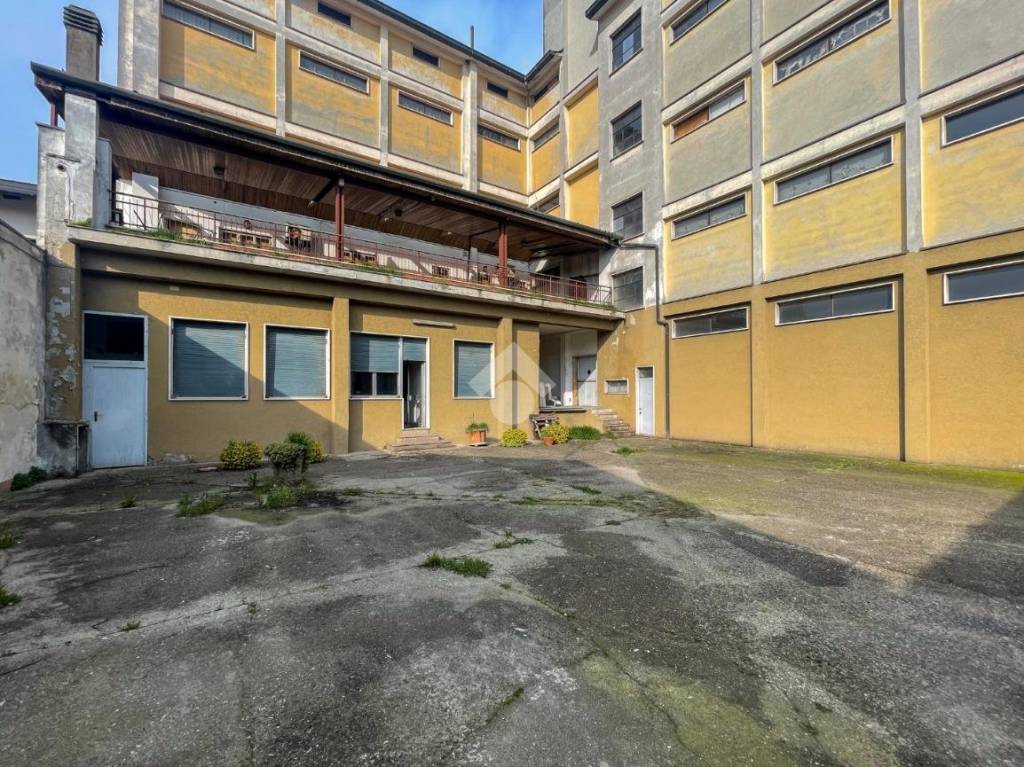 immagine annuncio 9 di 15