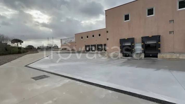 immagine annuncio 4 di 7