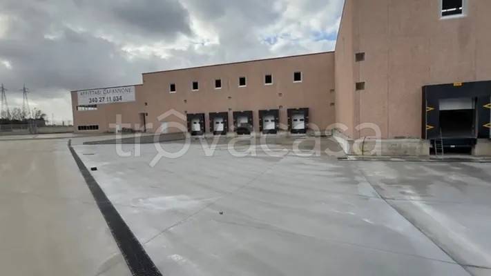 immagine annuncio 5 di 7