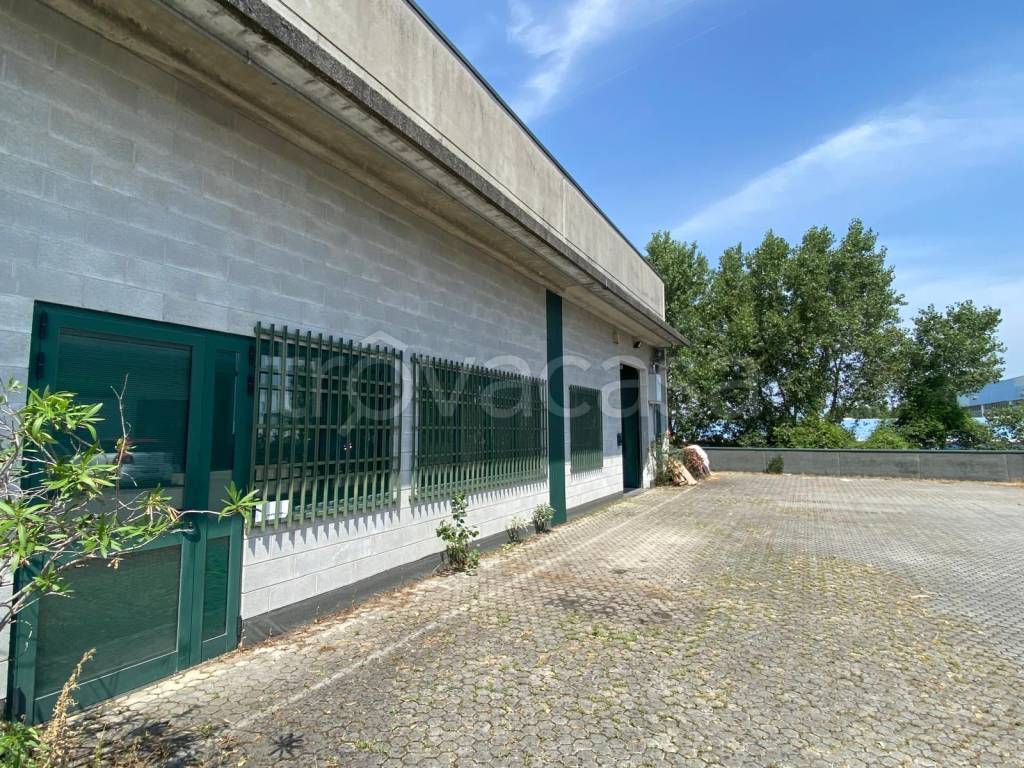 immagine annuncio 2 di 11