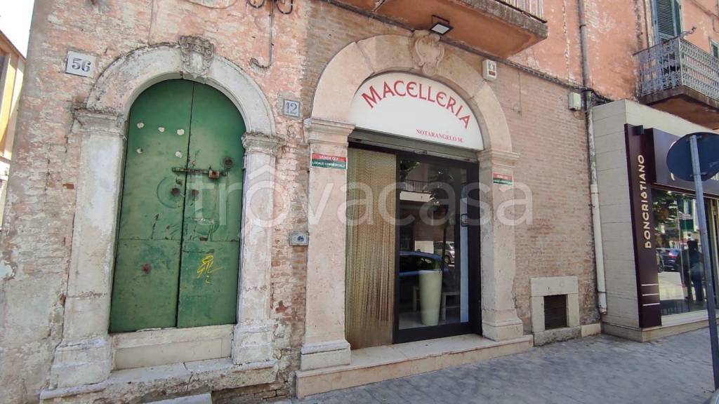 immagine annuncio 9 di 12
