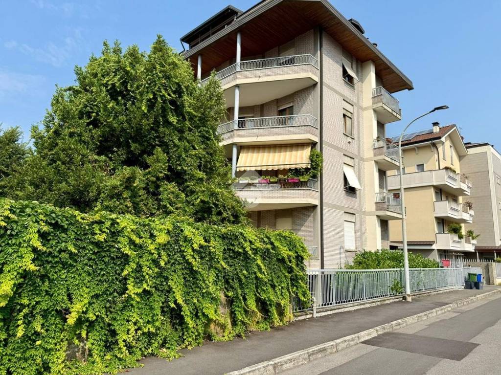 immagine annuncio 4 di 15