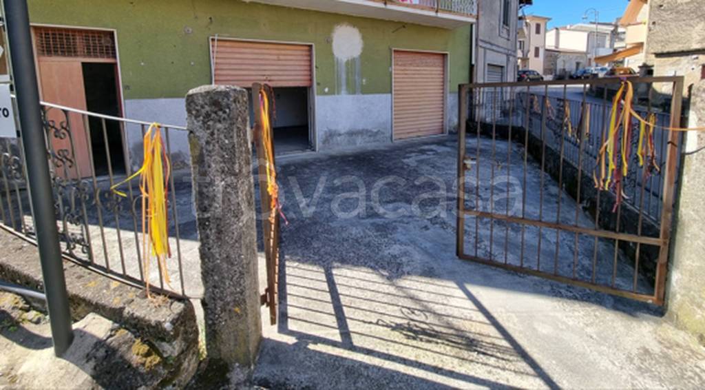 immagine annuncio 7 di 11