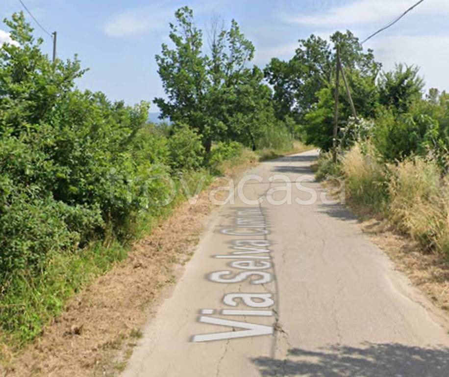 immagine annuncio 2 di 12
