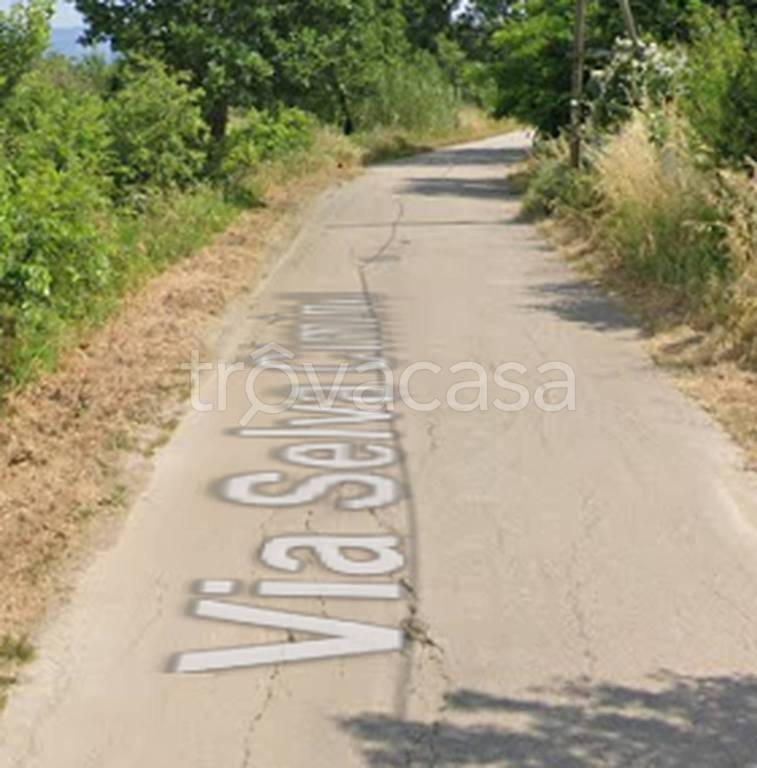 immagine annuncio 4 di 12