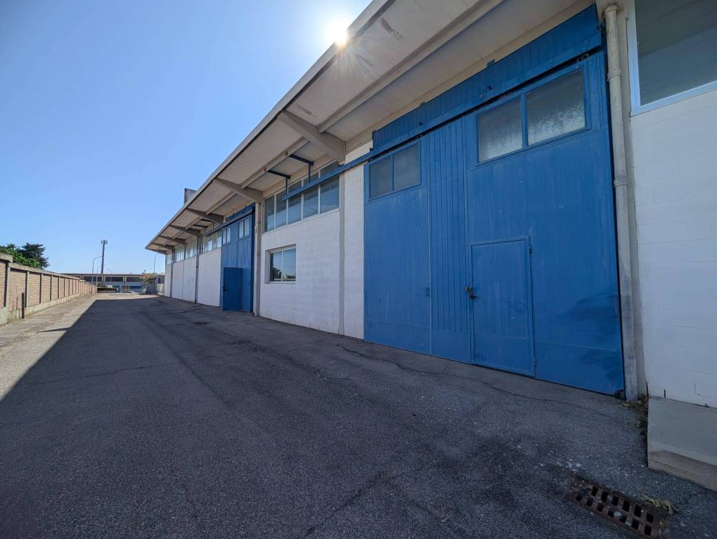 immagine annuncio 7 di 15