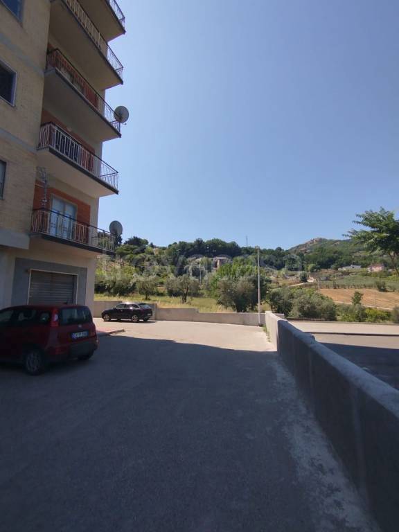 immagine annuncio 1 di 14
