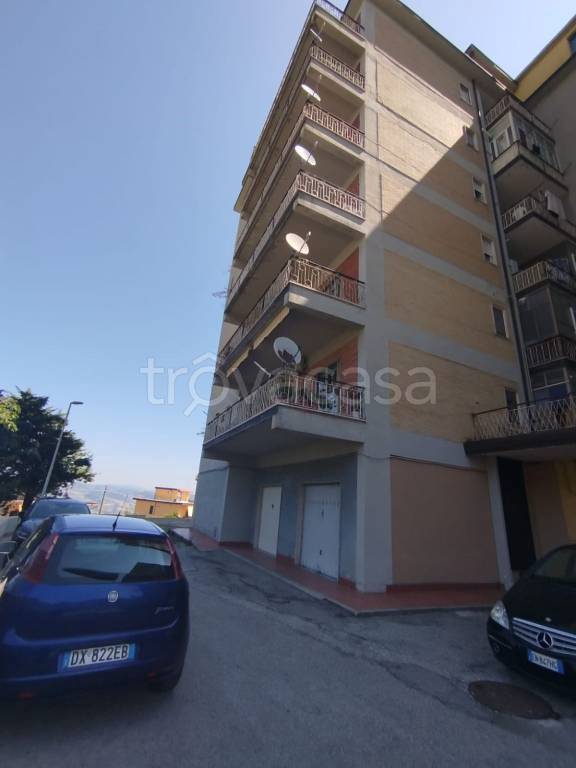 immagine annuncio 2 di 14
