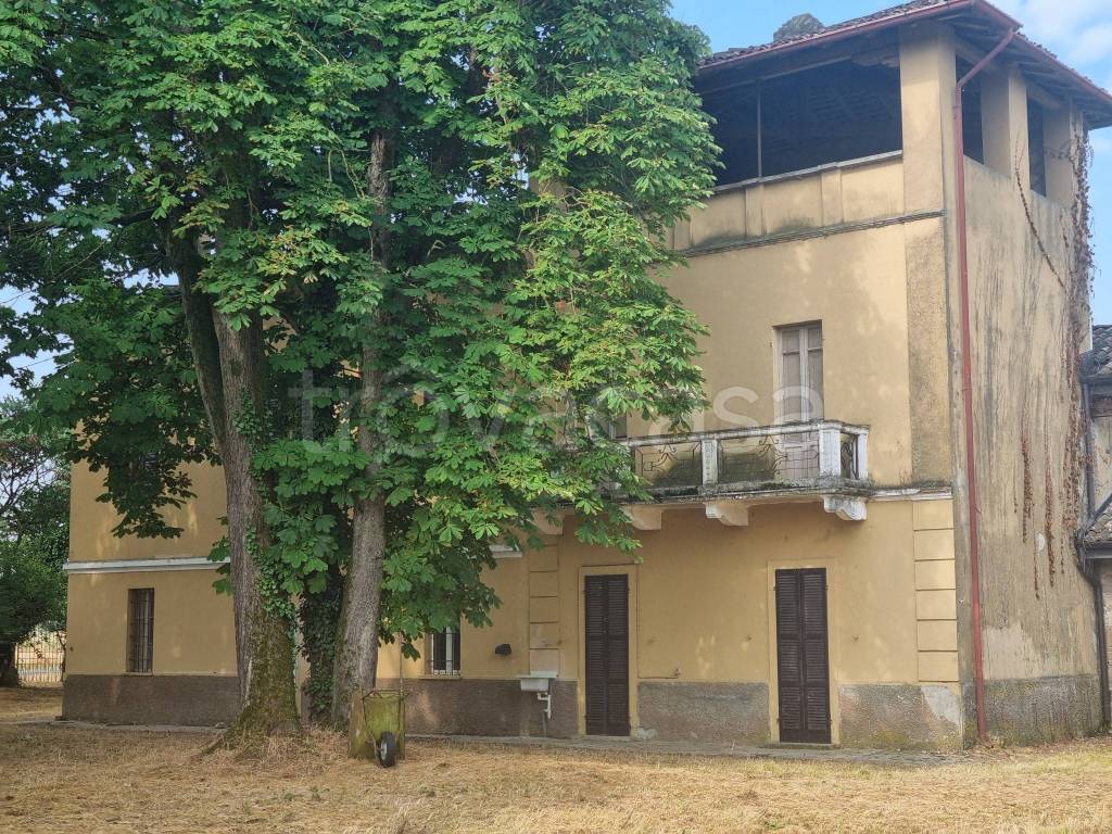immagine annuncio 2 di 12