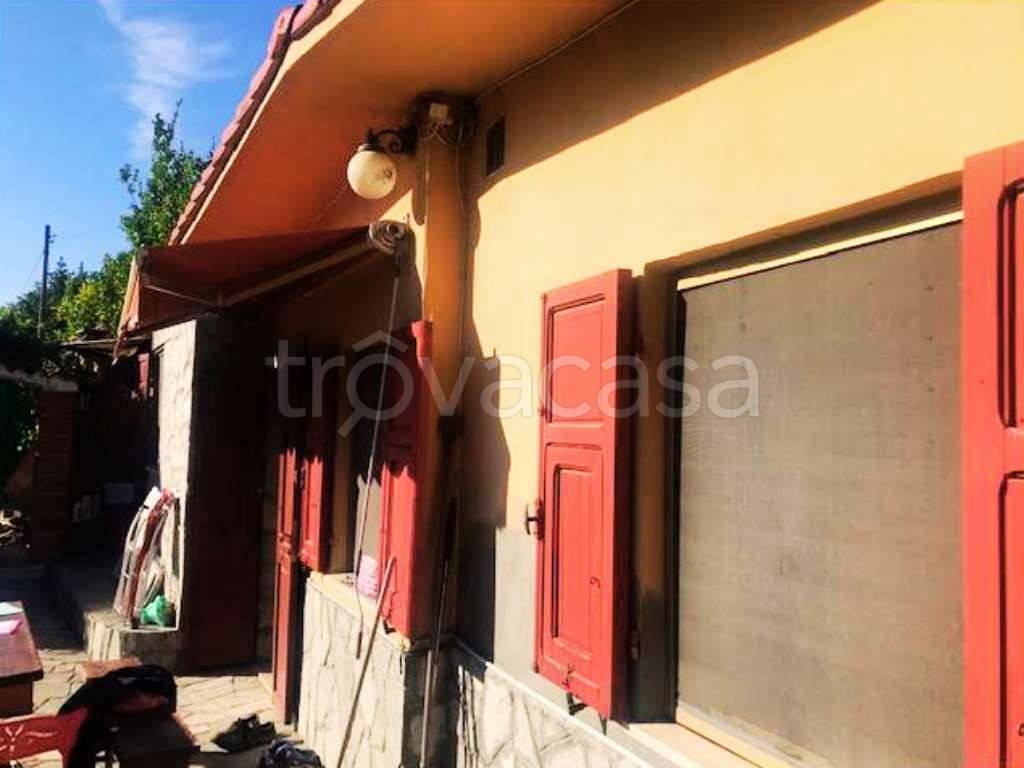 immagine annuncio 1 di 14