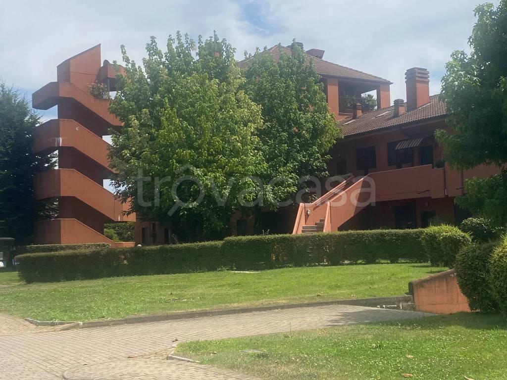 immagine annuncio 5 di 15