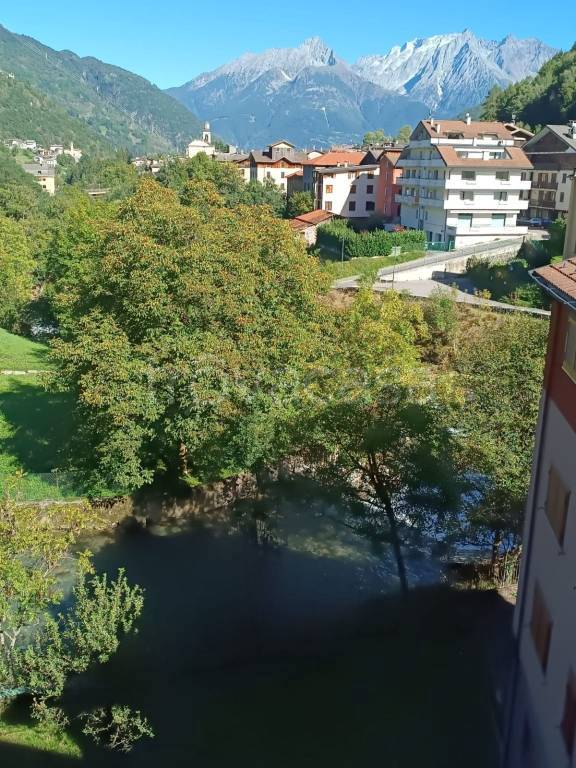 immagine annuncio 6 di 9