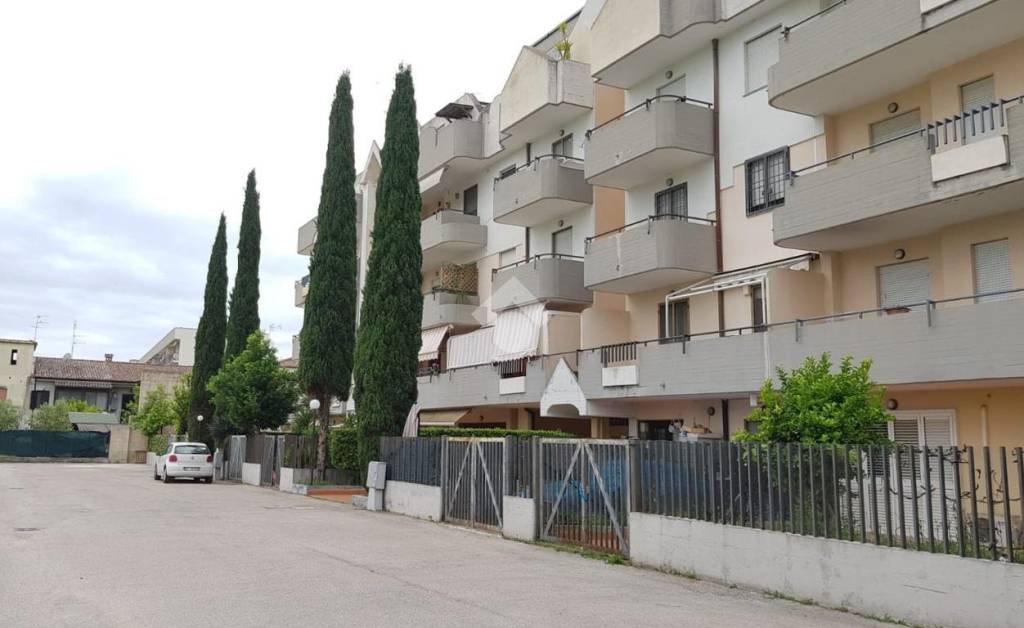 immagine annuncio 3 di 9