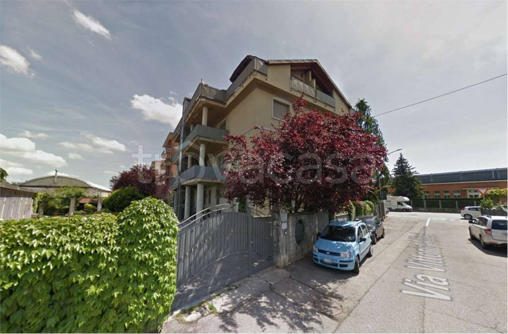 immagine annuncio 3 di 15