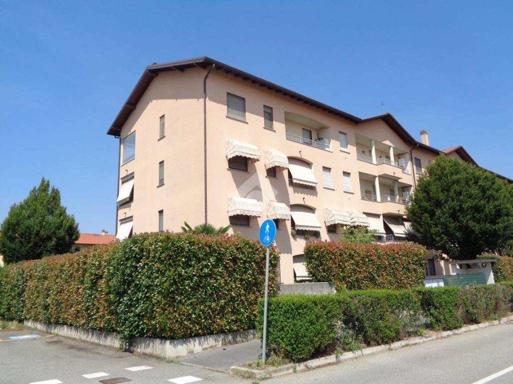 immagine annuncio 2 di 13