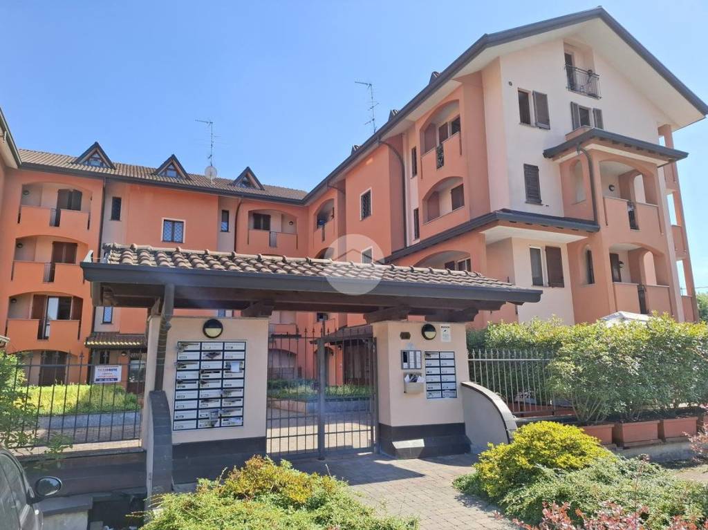 immagine annuncio 1 di 15