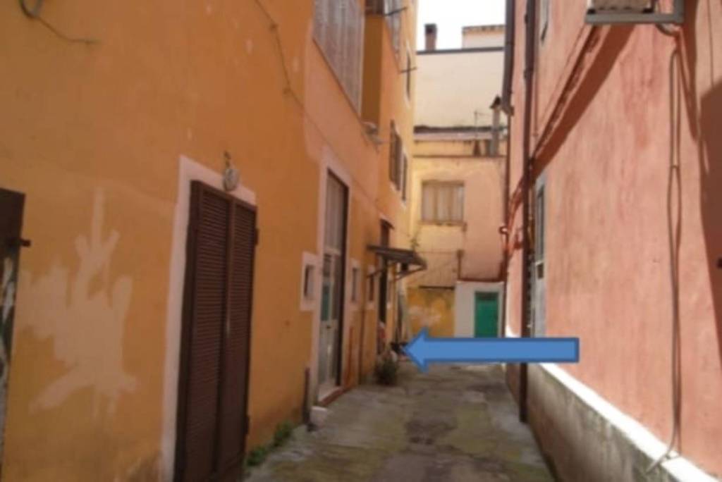 immagine annuncio 9 di 12