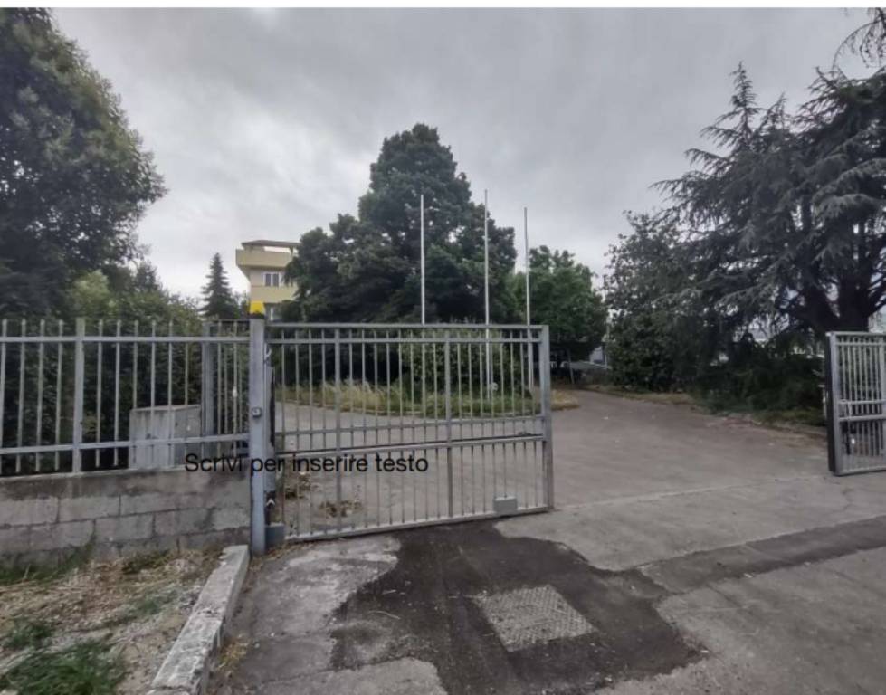 immagine annuncio 5 di 13
