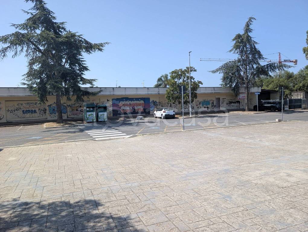 immagine annuncio 6 di 12