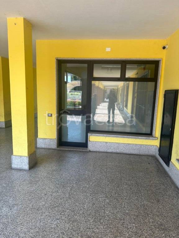 immagine annuncio 1 di 14