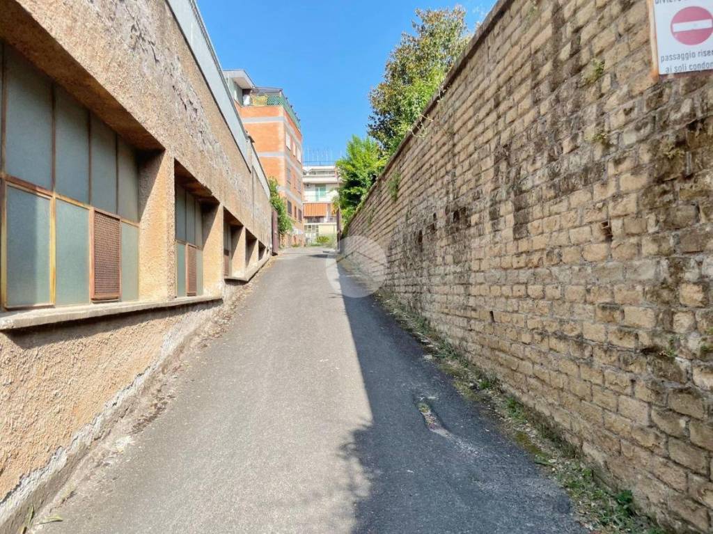 immagine annuncio 3 di 9