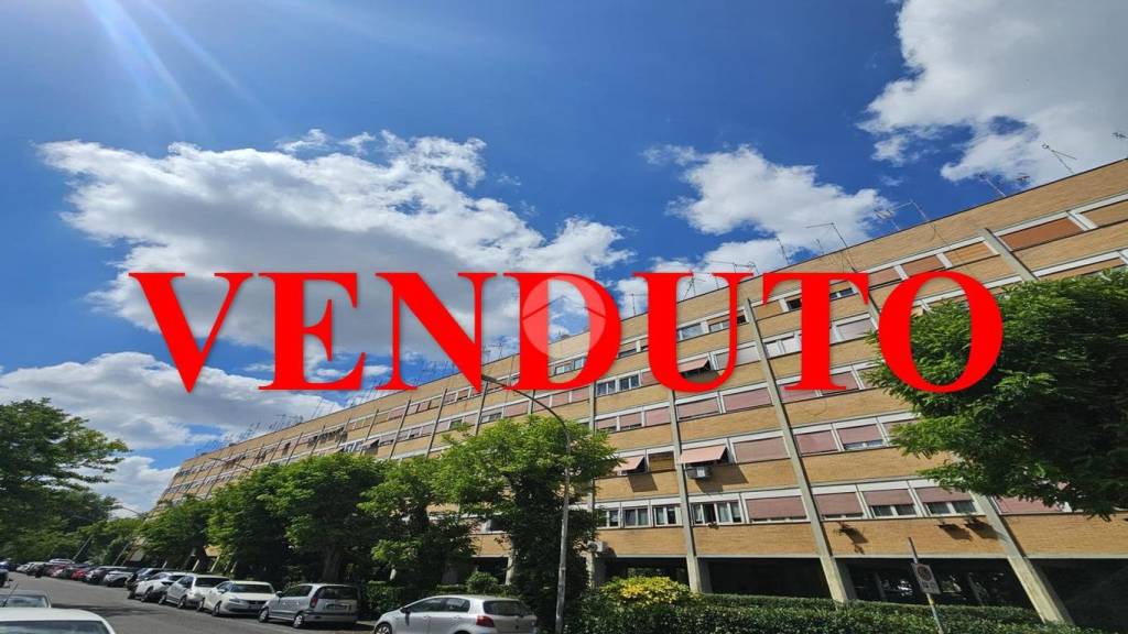 immagine annuncio 6 di 11