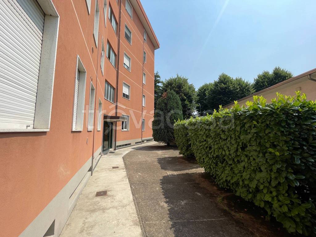 immagine annuncio 12 di 13