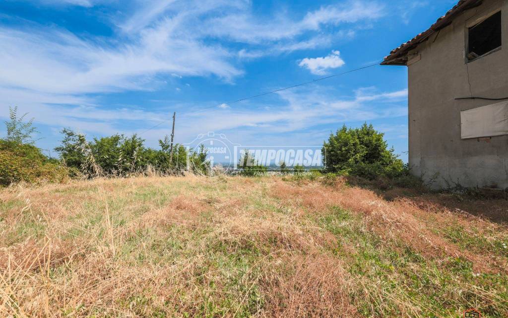 immagine annuncio 4 di 14