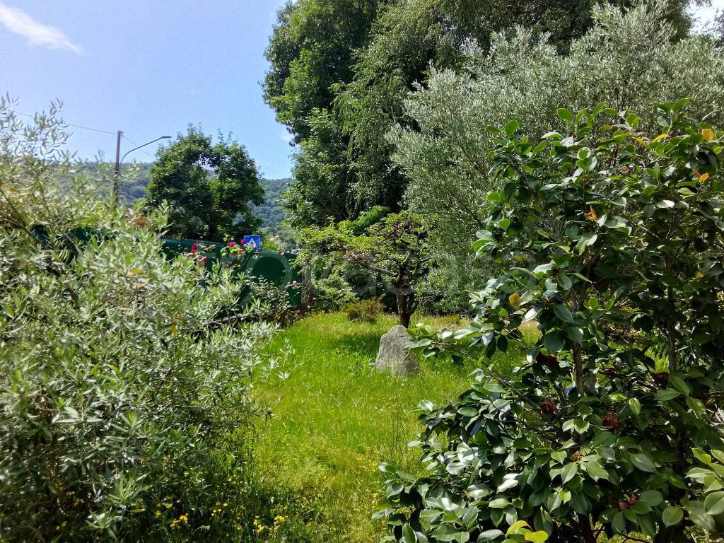 immagine annuncio 4 di 11
