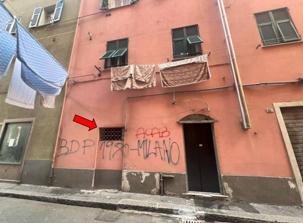 immagine annuncio 2 di 12