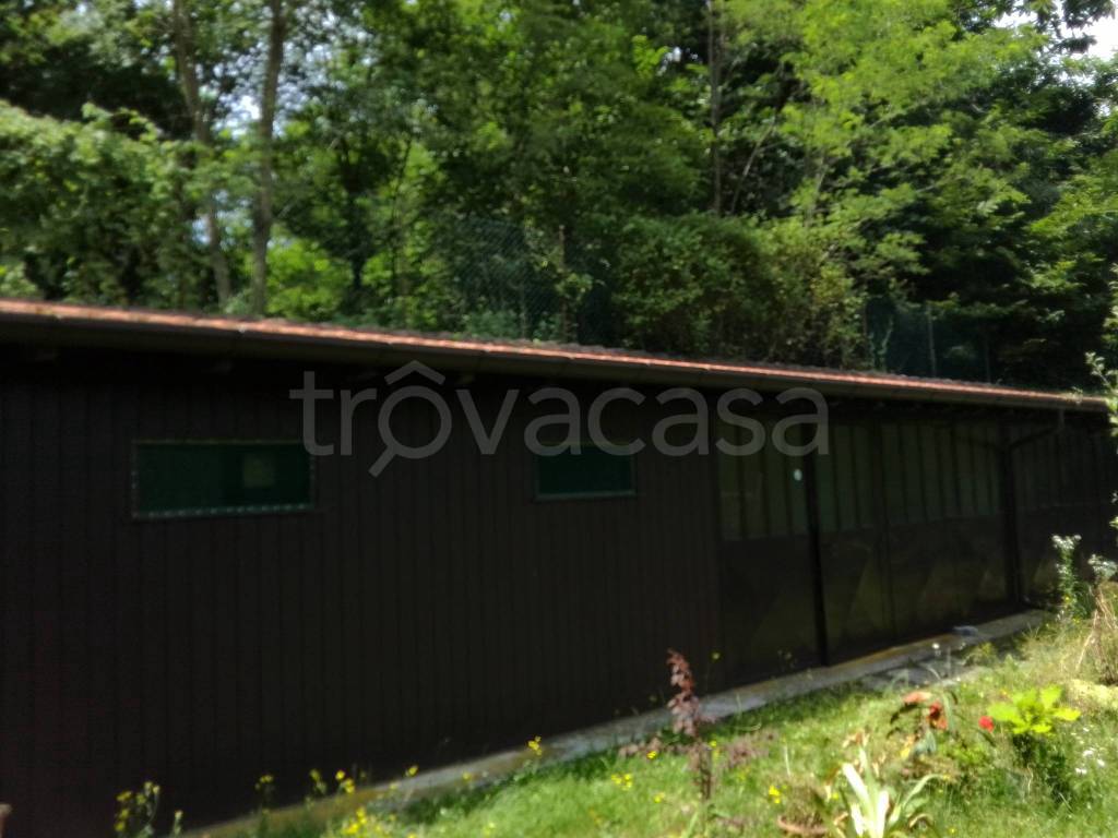 immagine annuncio 7 di 11