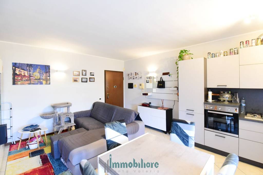 immagine annuncio 6 di 15