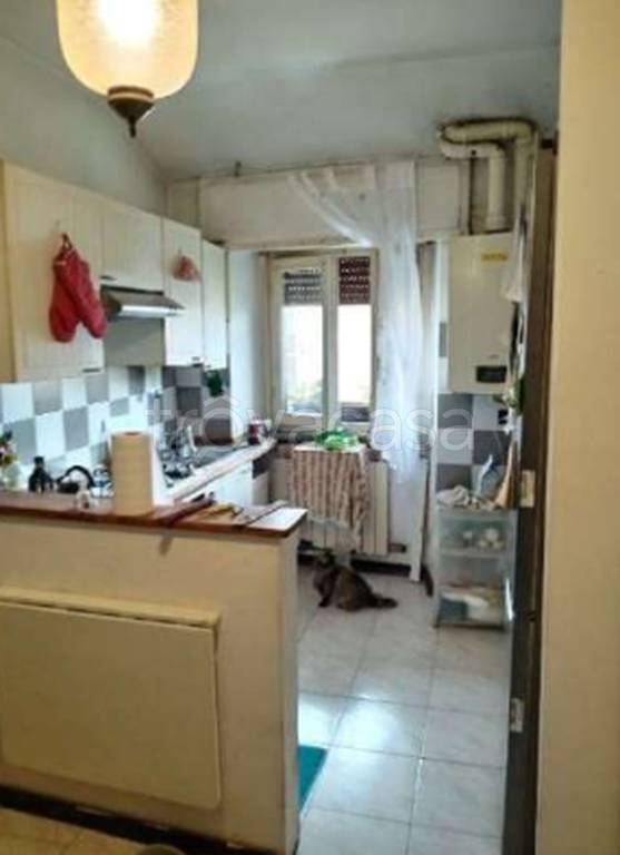 immagine annuncio 3 di 12