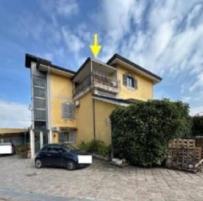 immagine annuncio 3 di 12