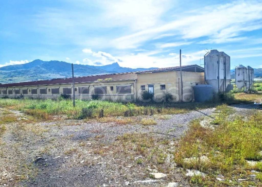 immagine annuncio 5 di 14
