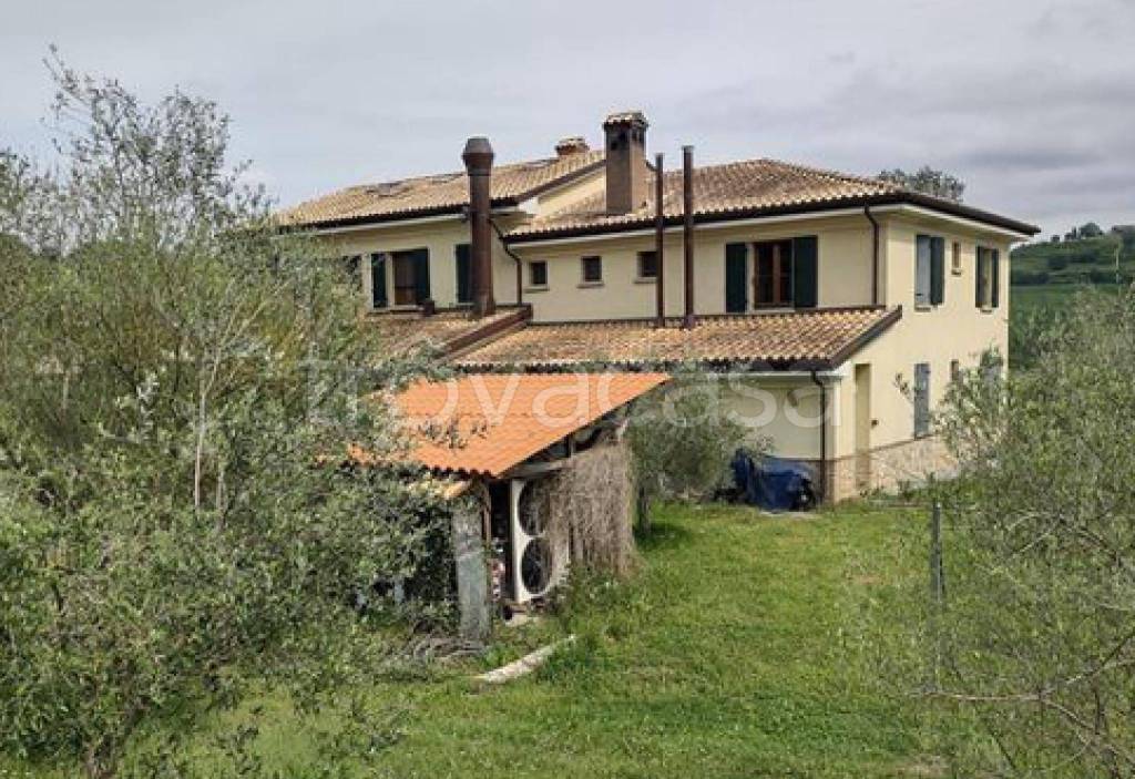 immagine annuncio 6 di 11