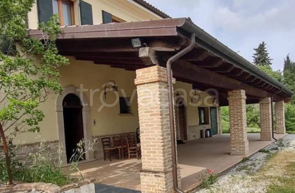 immagine annuncio 7 di 11