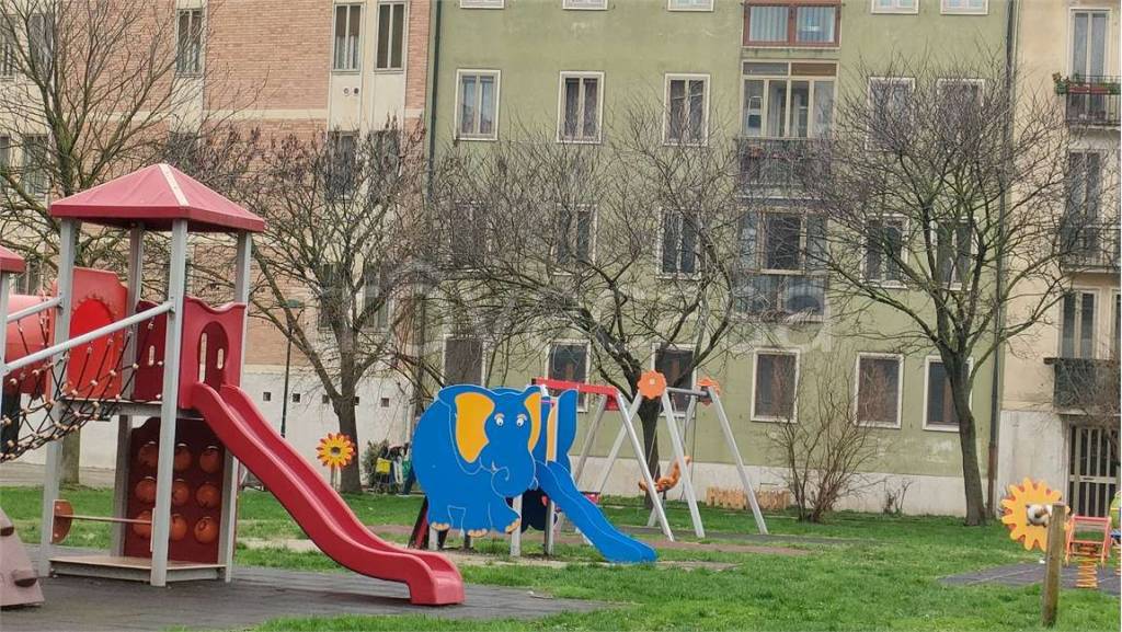 immagine annuncio 2 di 12