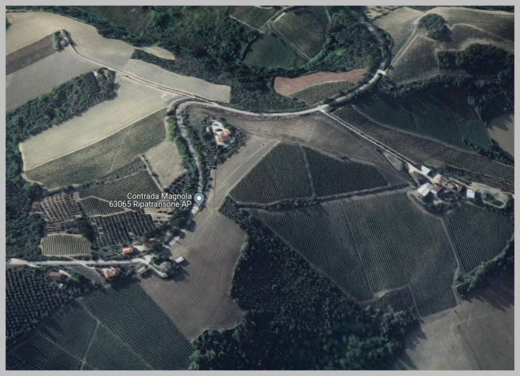 immagine annuncio 12 di 15