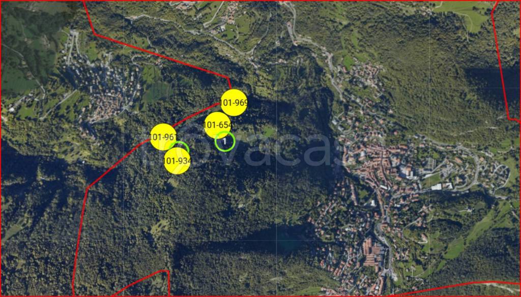 immagine annuncio 11 di 12