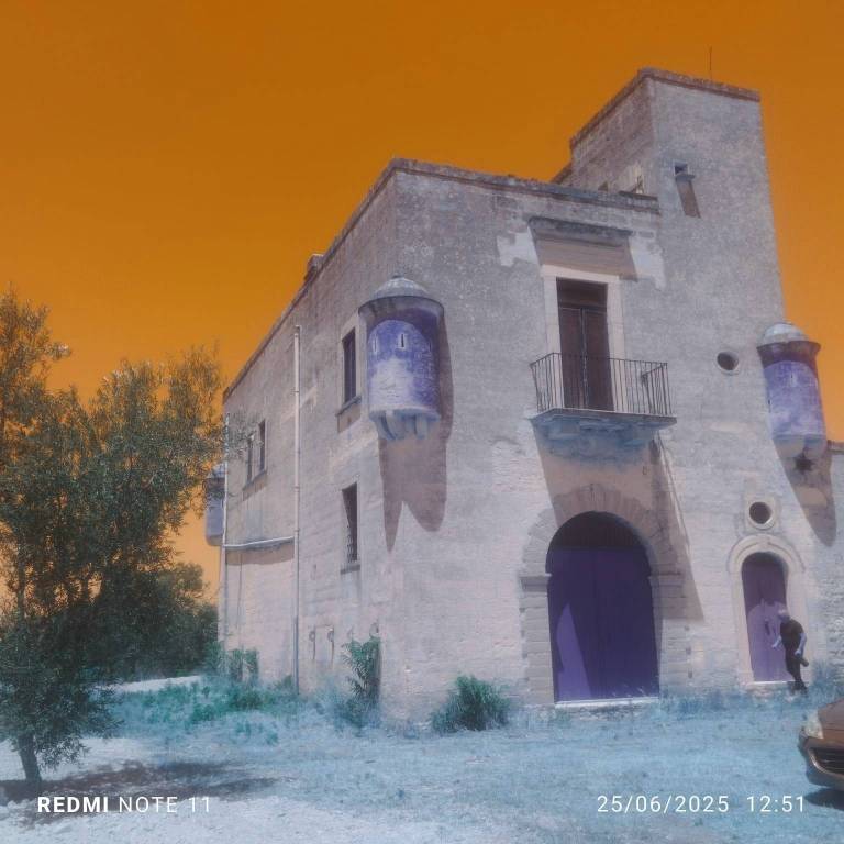 immagine annuncio 2 di 7