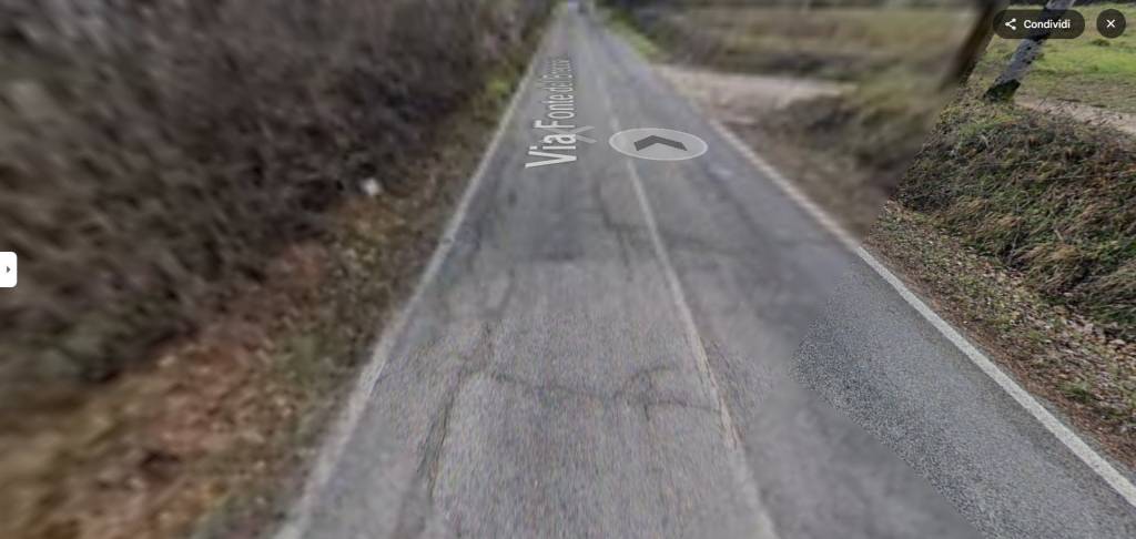 immagine annuncio 6 di 12