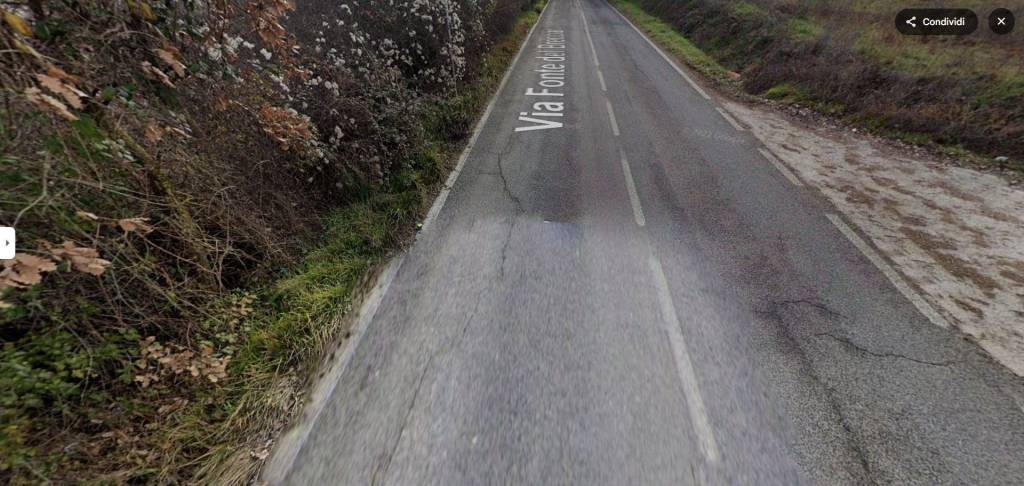 immagine annuncio 7 di 12