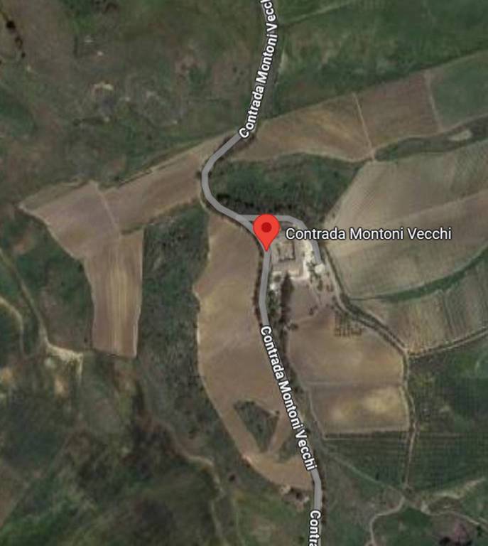 immagine annuncio 3 di 14