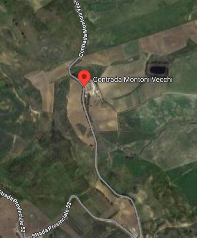 immagine annuncio 5 di 14